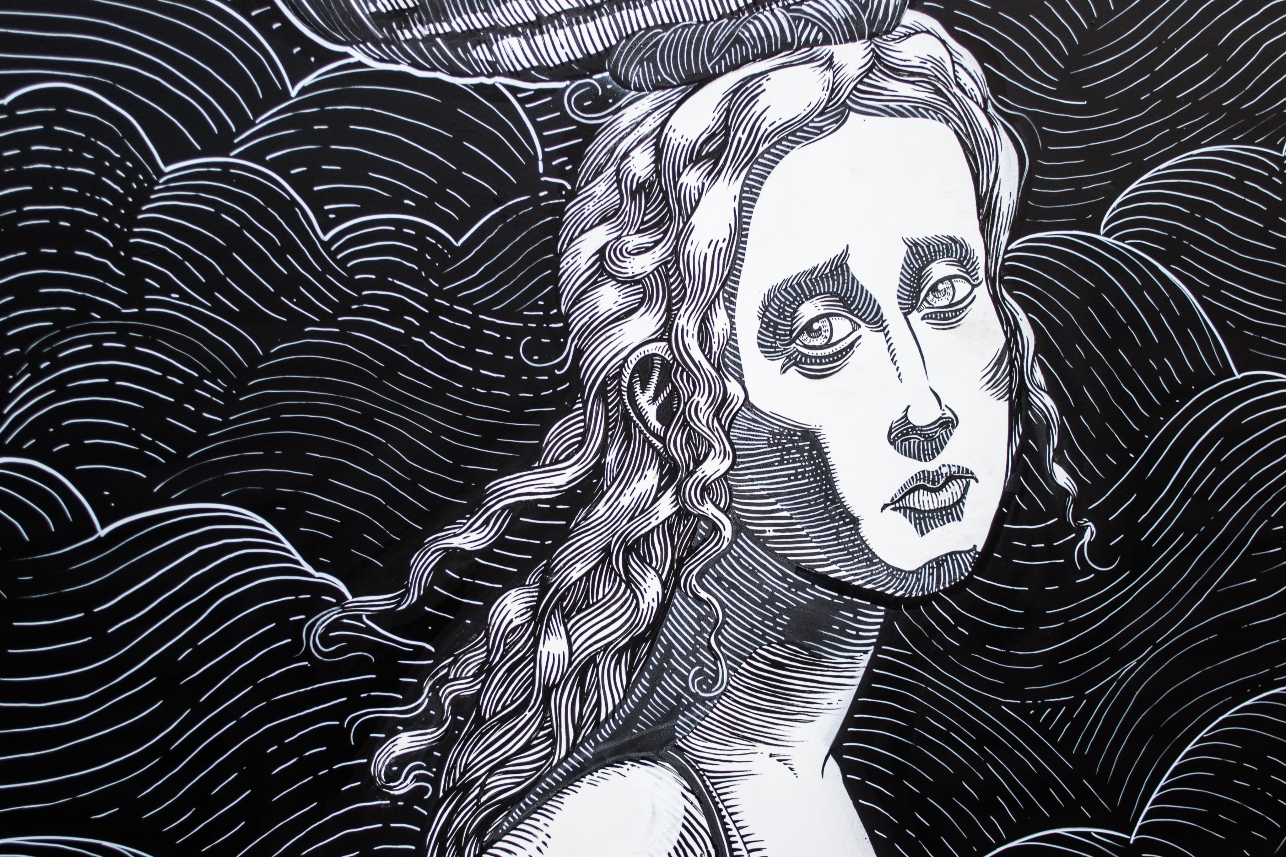 Black-and-white illustration of a woman with flowing hair against a swirling background